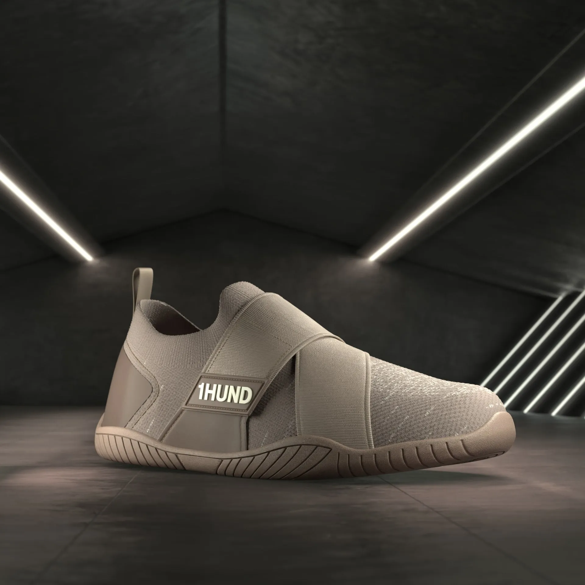 3D Shoe Render Image