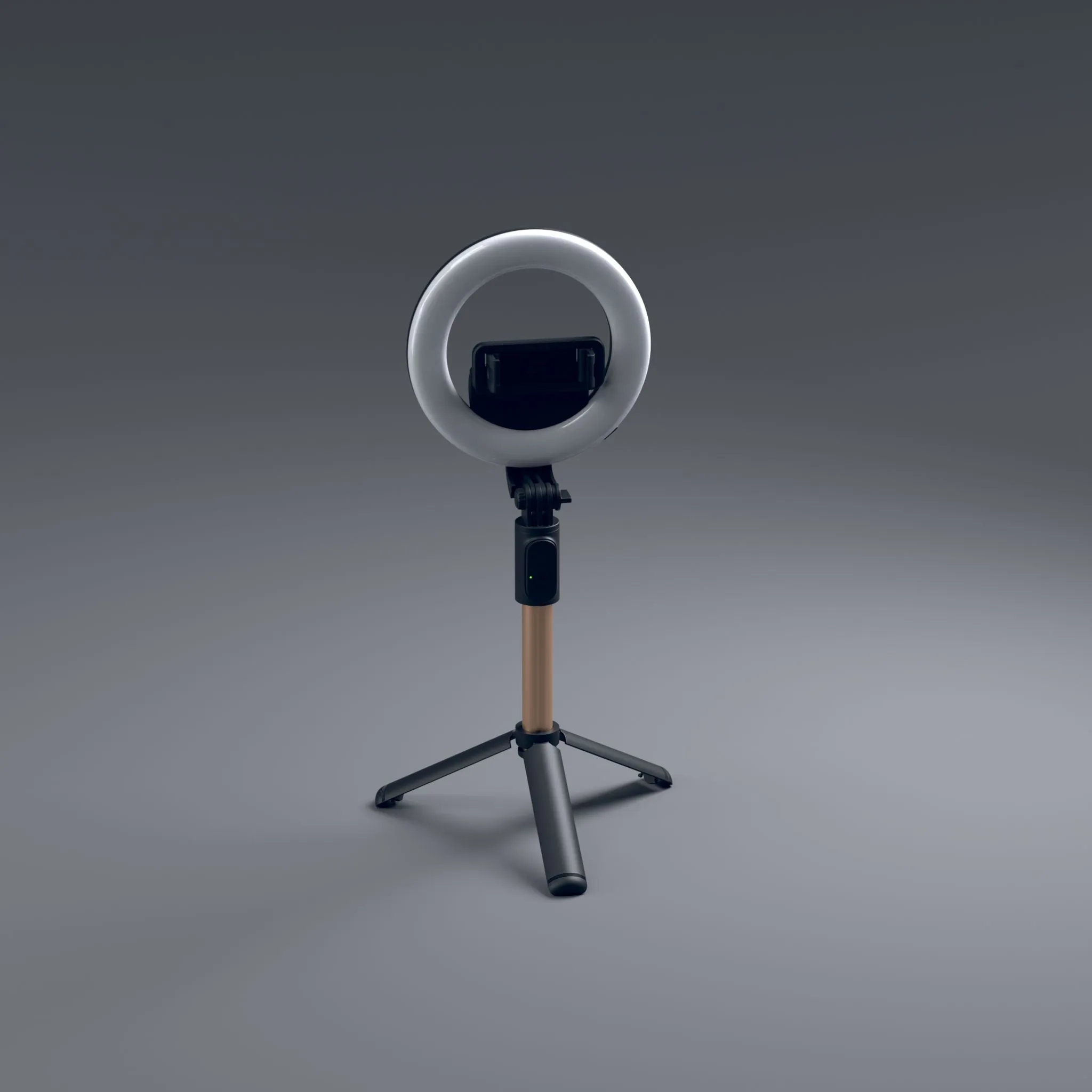 Photography Ring 3D Model