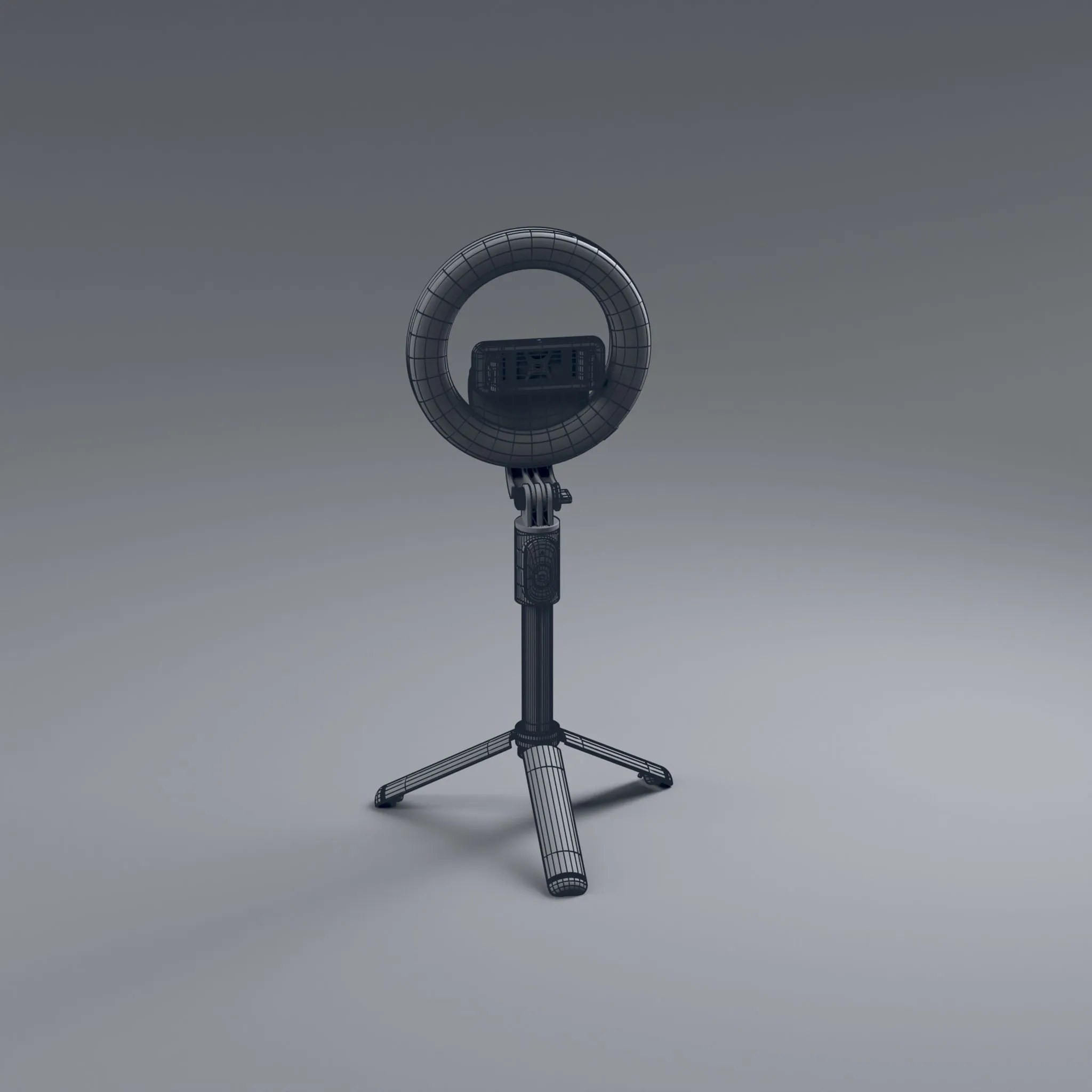 Photography Ring 3D Model