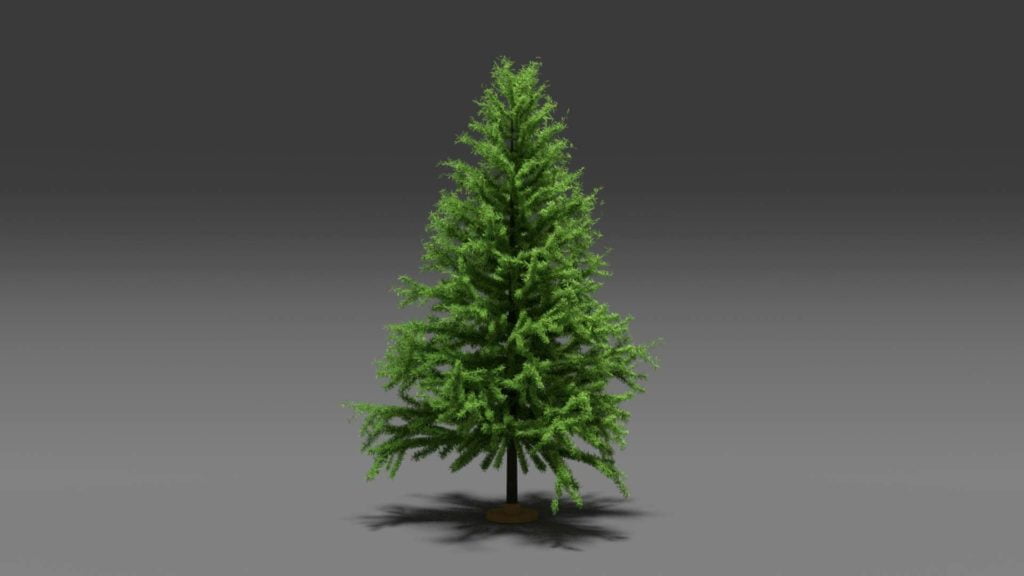 Pine Tree Free 3D Model