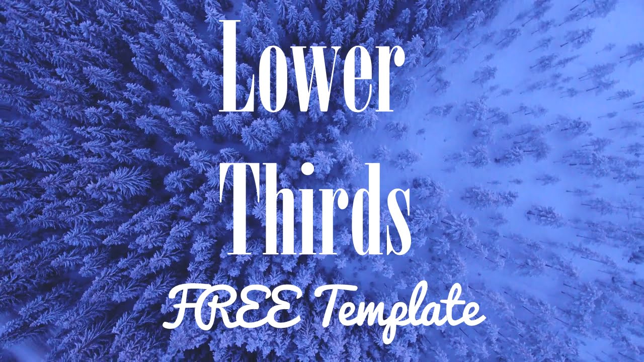 How To Make Lower Thirds In Sony Vegas with A Tutorial & Free Template -  Quince Creative