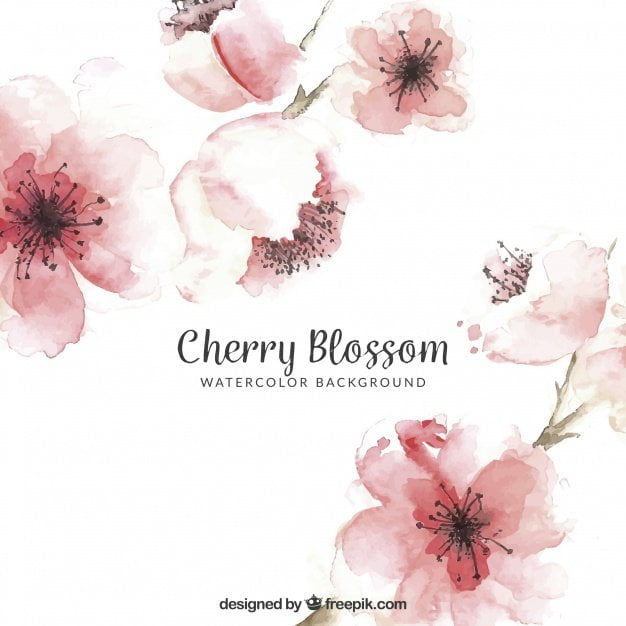 cherry blossom background watercolor