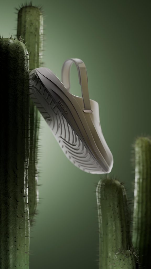 Recovering Shoe 3D Model and Render