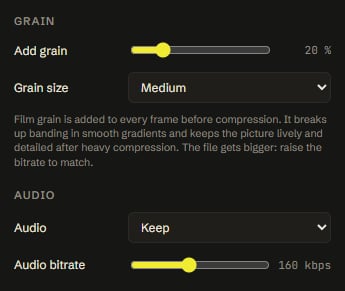 Grain settings at 20 percent with medium grain size, and audio settings set to keep the sound at 160 kbps