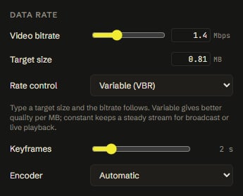Advanced data rate settings: video bitrate in Mbps, target size in MB, variable or constant rate control, keyframe interval and encoder choice